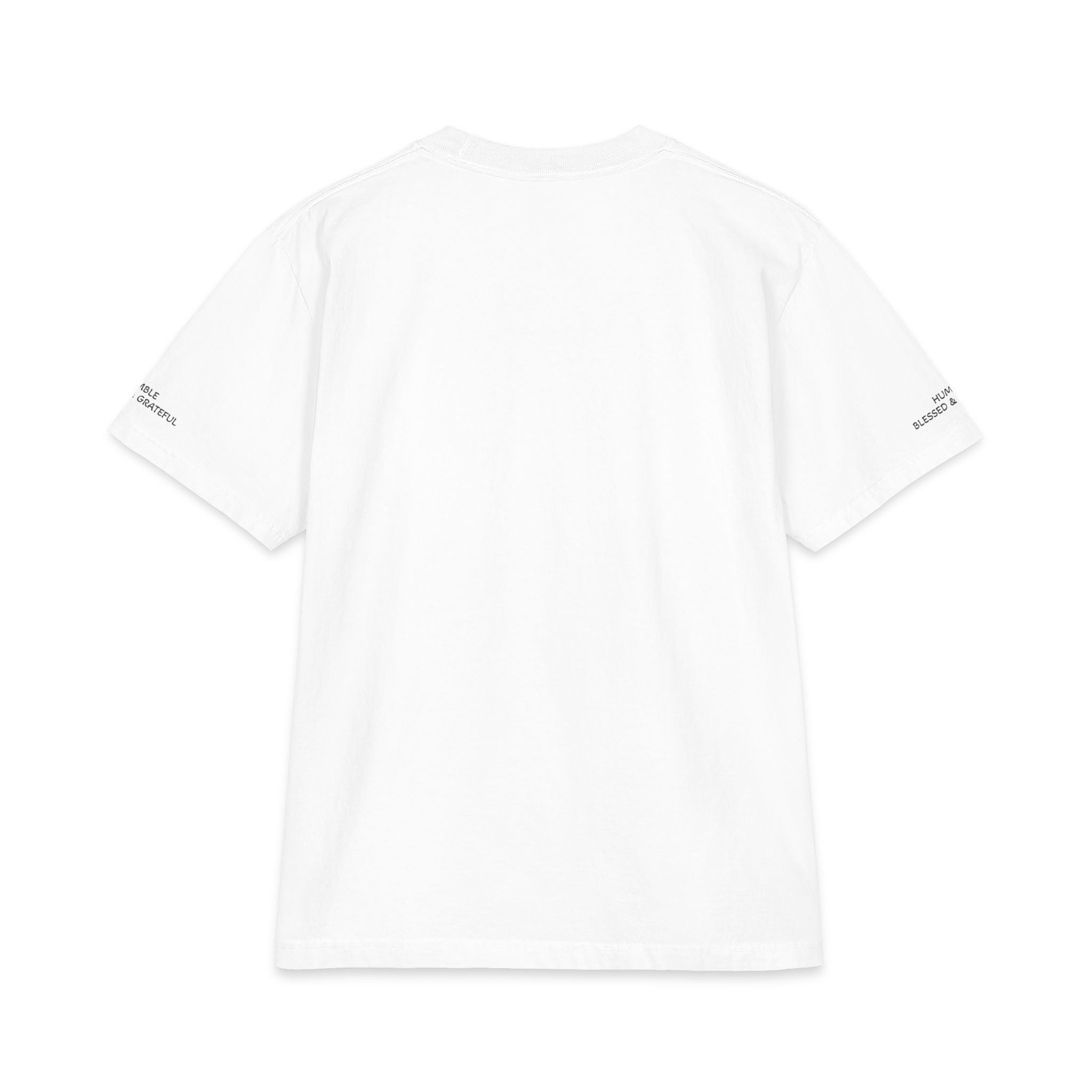 OverSized T-Shirt— 'If I Ruled The World'